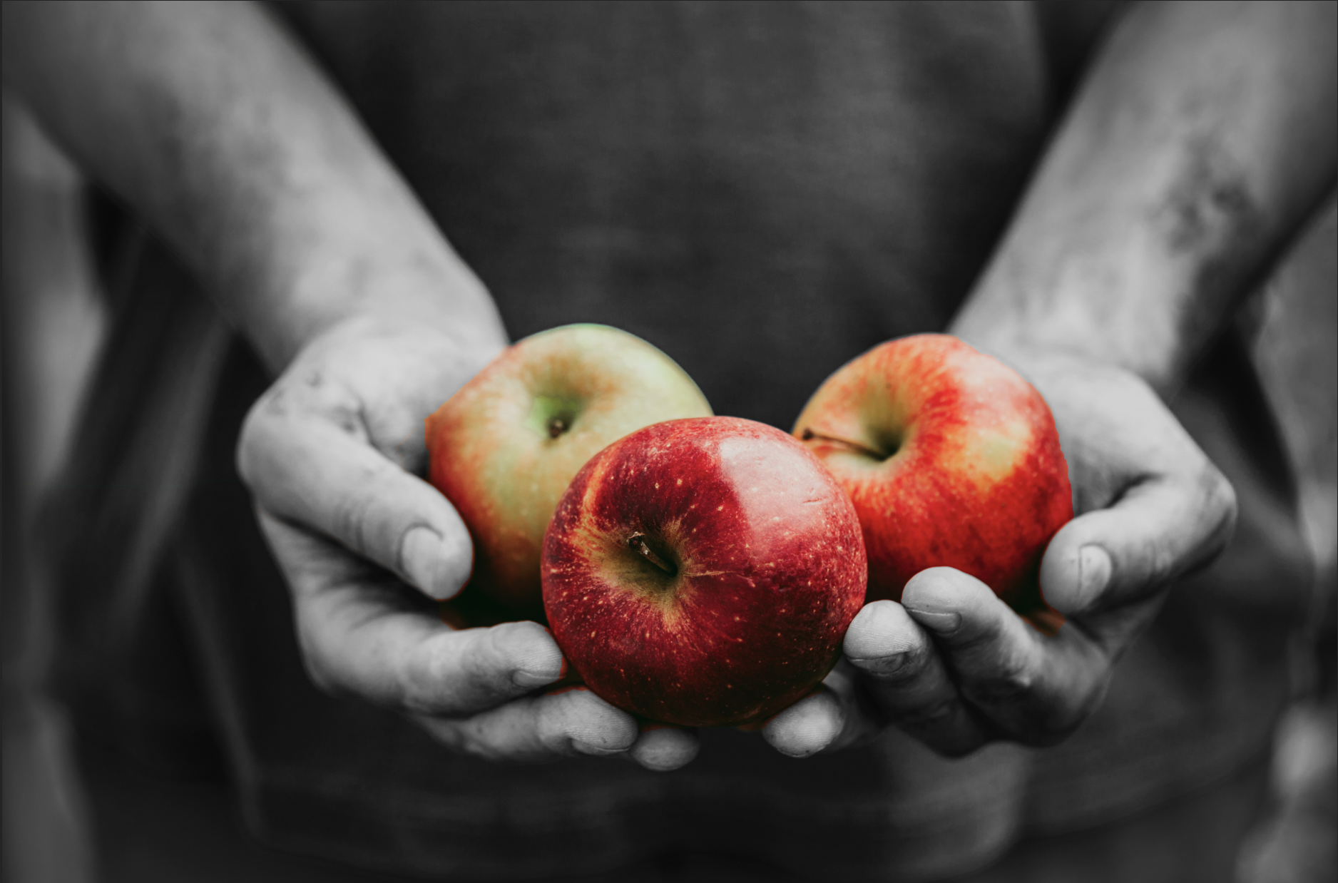 apple image